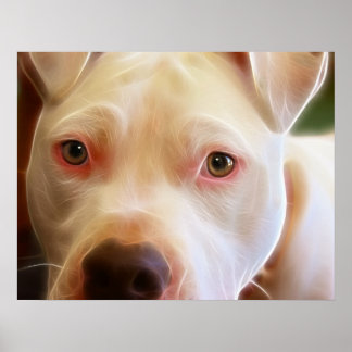 Pitbull Puppy Dog Eyes Art Poster