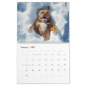 PitBull Puppy Dog Love Pit Bulls Kalender (Feb 2027)