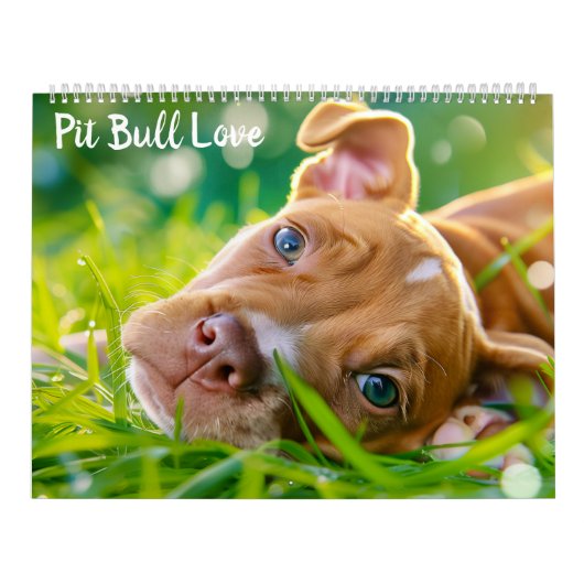 PitBull Puppy Dog Love Pit Bulls Kalender (Hoes)