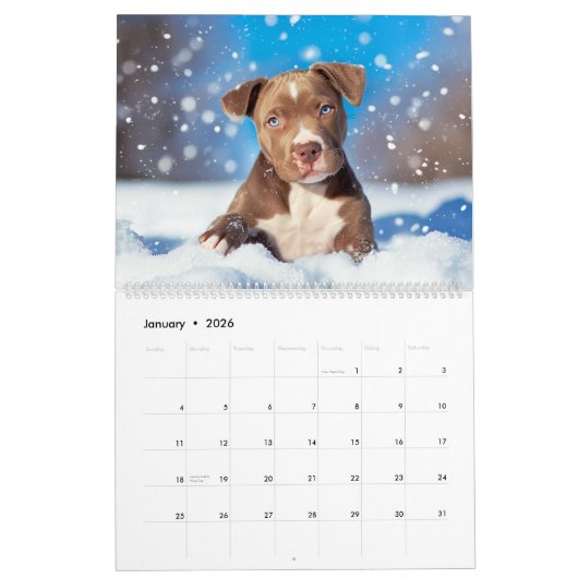 PitBull Puppy Dog Love Pit Bulls Kalender (Jan 2026)