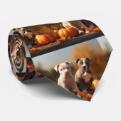 Pitbull Puppy Herfst Delight Pompoen Stropdas (Opgerold)
