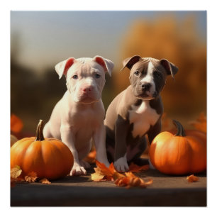 Pitbull Puppy Herfst Plezier Pompoen Perfect Poster
