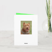 Pitbull Puppy Hond Blanke Briefkaart (Achterkant)
