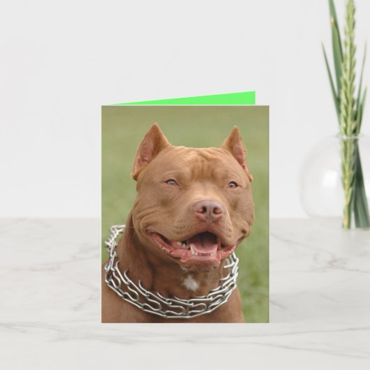 Pitbull Puppy Hond Blanke Notitiekaart (Voorkant)