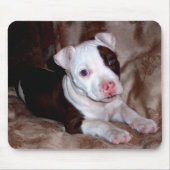Pitbull Puppy Mousepad Muismat (Voorkant)