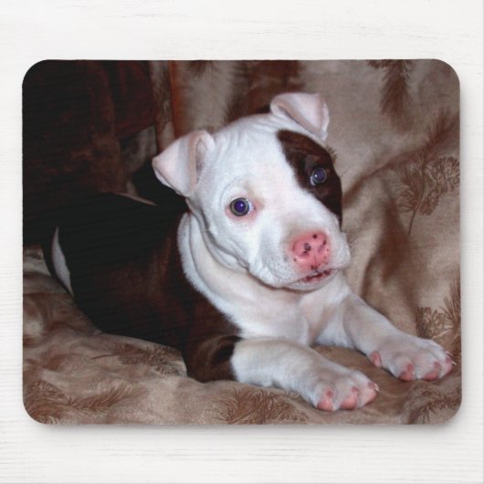 Pitbull Puppy Mousepad Muismat (Voorkant)