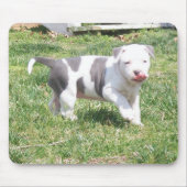 PITBULL PUPPY MUISMAT (Voorkant)