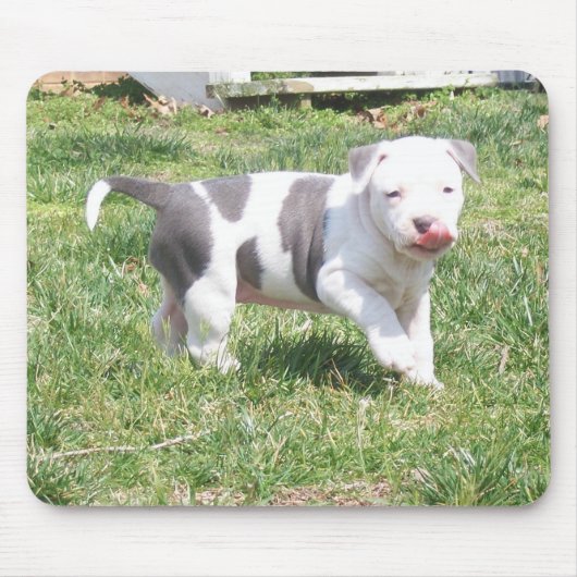PITBULL PUPPY MUISMAT (Voorkant)
