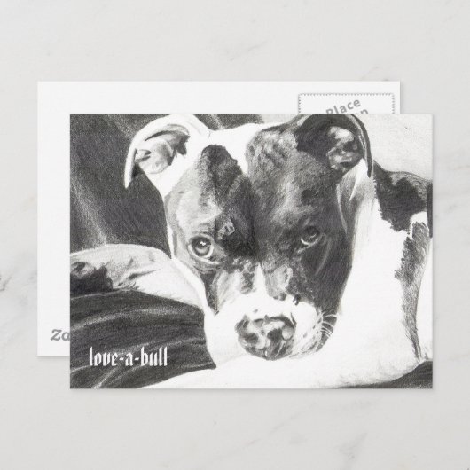 Pitbull Puppy op potlood 4 van Jacob Grimm Briefkaart (Voorkant / Achterkant)