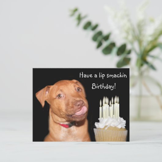 Pitbull puppy verjaardag briefkaart (Staand voorkant)