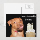 Pitbull puppy verjaardag briefkaart (Voorkant / Achterkant)