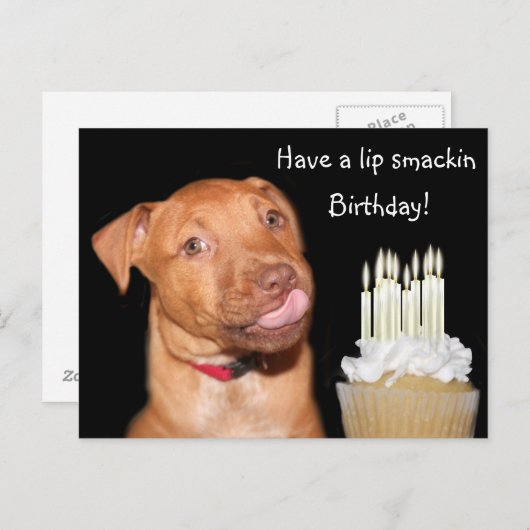 Pitbull puppy verjaardag briefkaart (Voorkant / Achterkant)