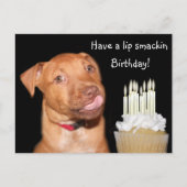 Pitbull puppy verjaardag briefkaart (Voorkant)