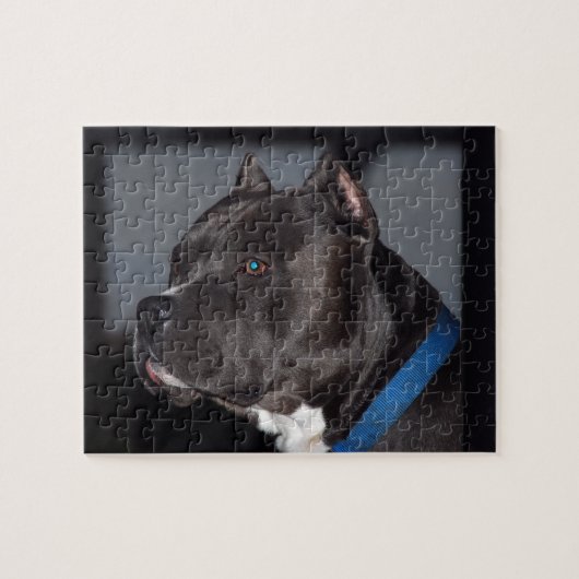 Pitbull Puzzle Legpuzzel (Horizontaal)