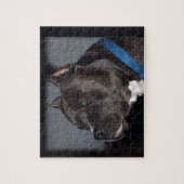 Pitbull Puzzle Legpuzzel (Verticaal)