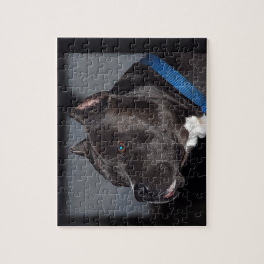 Pitbull Puzzle Legpuzzel (Verticaal)