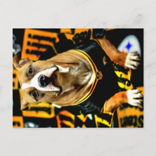 Pitbull Rescue Dog Football Fantaat Briefkaart (Voorkant)