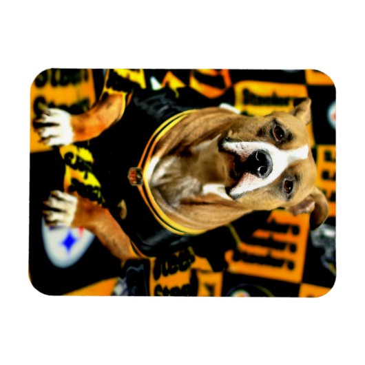 Pitbull Rescue Dog Football Fantaat Magneet (Horizontaal)