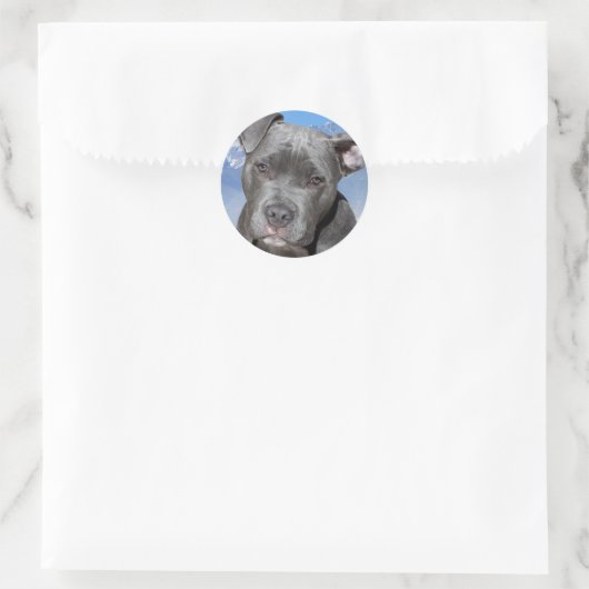 Pitbull Ronde Sticker (Tas)