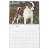 Pitbull Save the Breed agenda Kalender (Mar 2027)