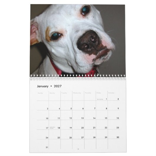 Pitbull Save the Breed agenda Kalender (Jan 2027)