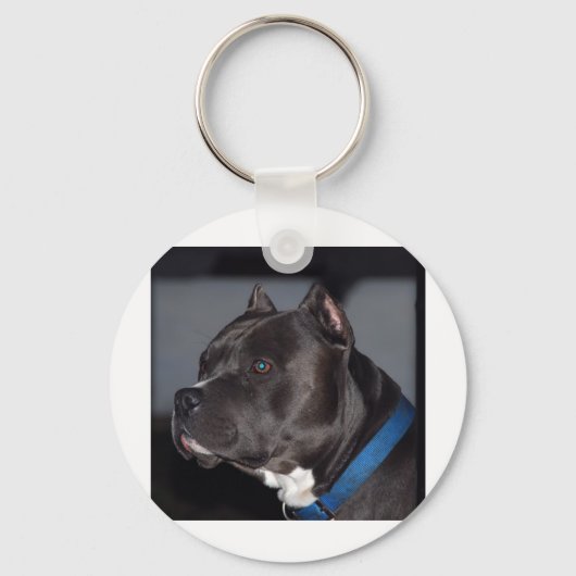 Pitbull Sleutelhanger (Voorkant)