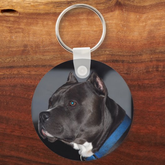 Pitbull Sleutelhanger (Voorkant)