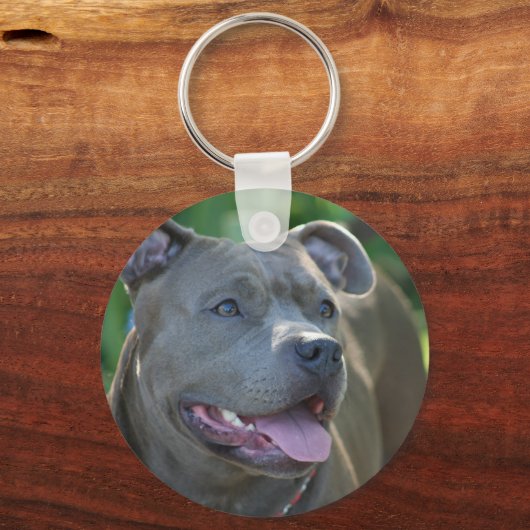 Pitbull sleutelhanger (Voorkant)
