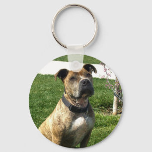 Pitbull-sleutelhanger Sleutelhanger