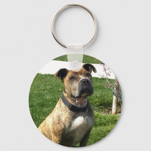 Pitbull-sleutelhanger Sleutelhanger (Voorkant)