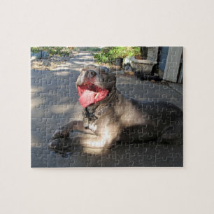 Pitbull Sloppy Dog Kiss Puzzle Legpuzzel