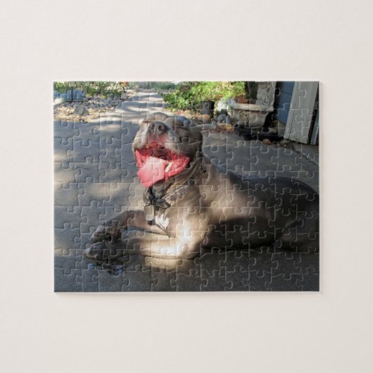 Pitbull Sloppy Dog Kiss Puzzle Legpuzzel (Horizontaal)
