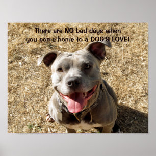 Pitbull Smiling Dog's Love Poster