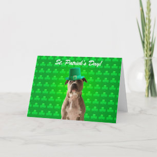 Pitbull St Patricks Day Clover Wenskaart Kaart
