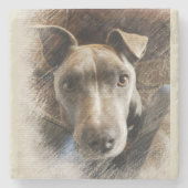 Pitbull Stenen Onderzetter (Voorkant)