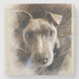 Pitbull Stenen Onderzetter