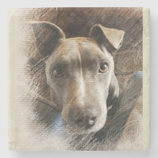 Pitbull Stenen Onderzetter (Voorkant)