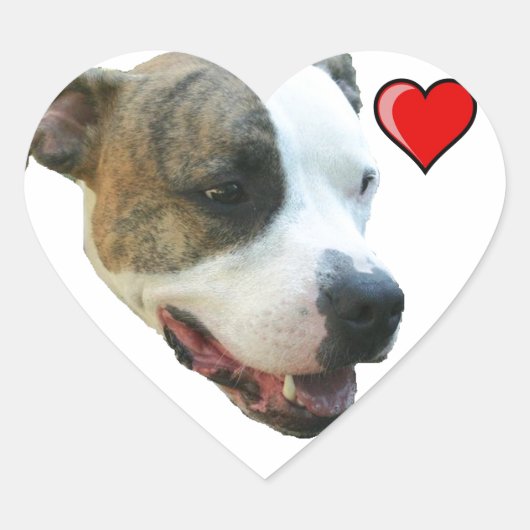 PItbull Sticker (Voorkant)
