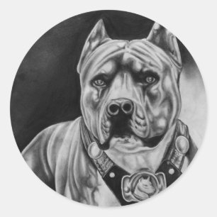 PITBULL STICKER ROUND PKG VAN 20