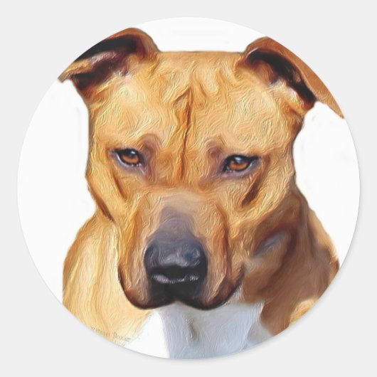 Pitbull stickers (Voorkant)