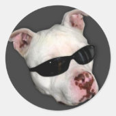Pitbull stickers (Voorkant)