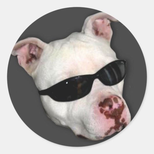 Pitbull stickers (Voorkant)