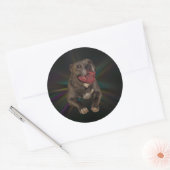 Pitbull Stickers (Envelop)