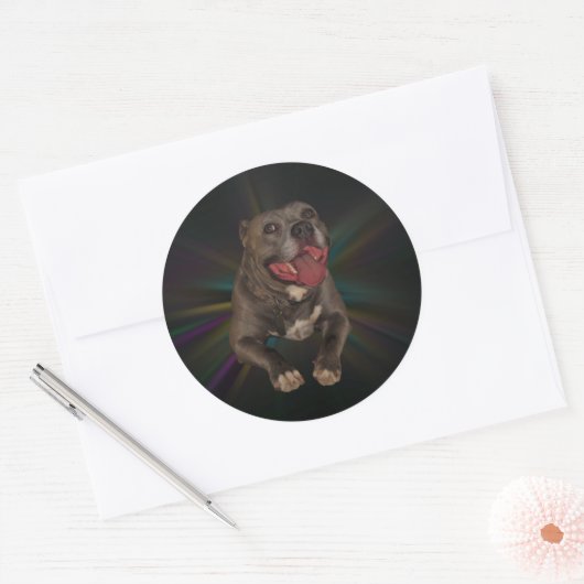 Pitbull Stickers (Envelop)