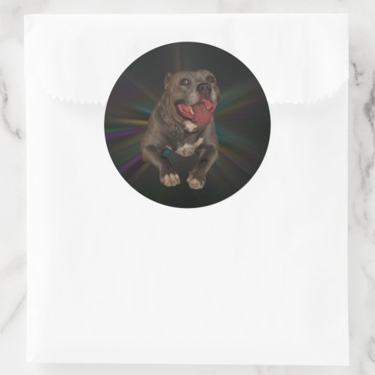 Pitbull Stickers (Tas)