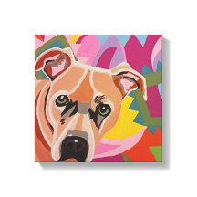 Pitbull Stretched Canvas