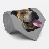 Pitbull stropdas (Opgerold)