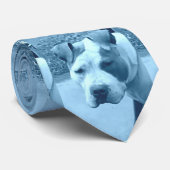Pitbull Stropdas in blauw (Opgerold)
