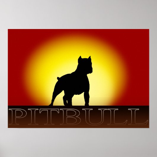 Pitbull Sunset Poster (Voorkant)