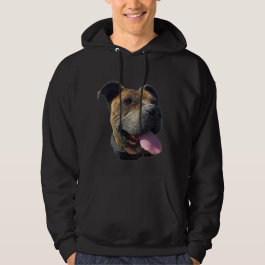 Pitbull sweatshirt (Voorkant)